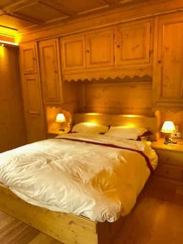 Vila Luxury Pelmo